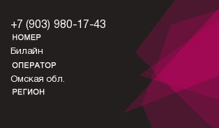 9039801743